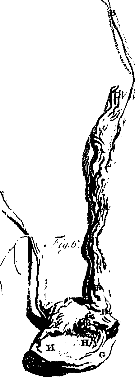 104/104620030001160_0.png