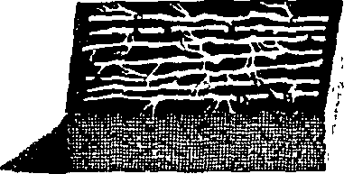 104/104620030001160_1.png