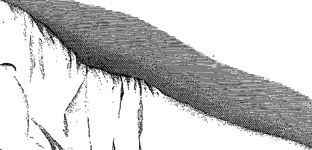 104/104620030001230_0.png