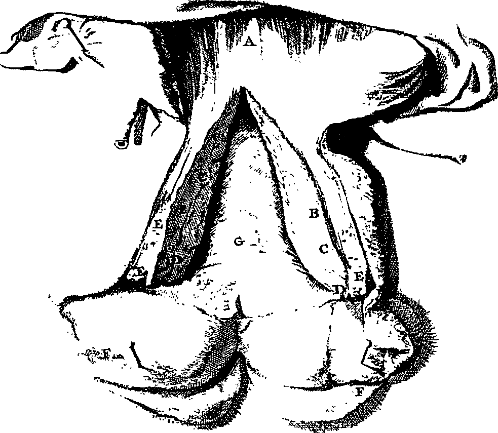 104/104620030001270_1.png