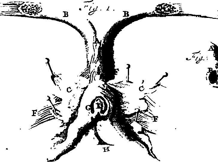 104/104620030001270_2.png