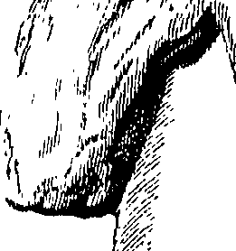 104/104620030001280_0.png