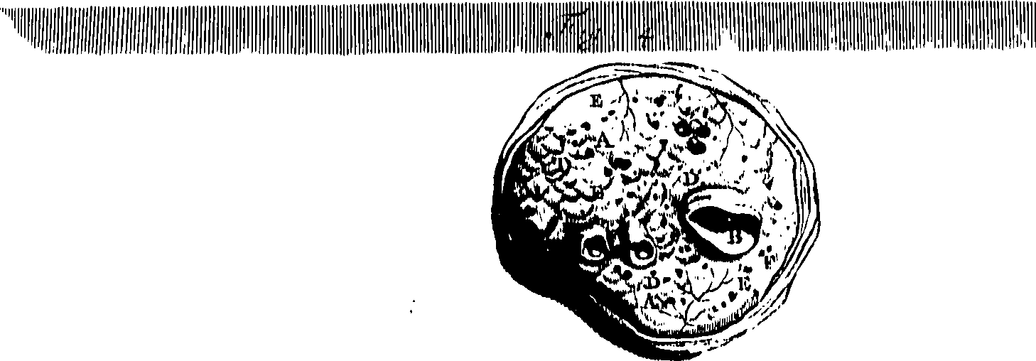 104/104620030001440_0.png