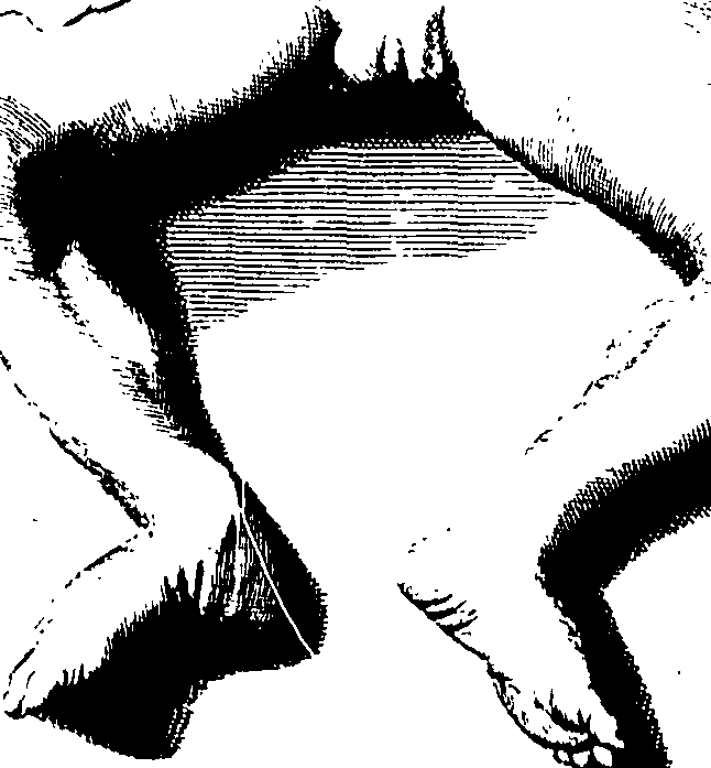 104/104620030001480_1.png