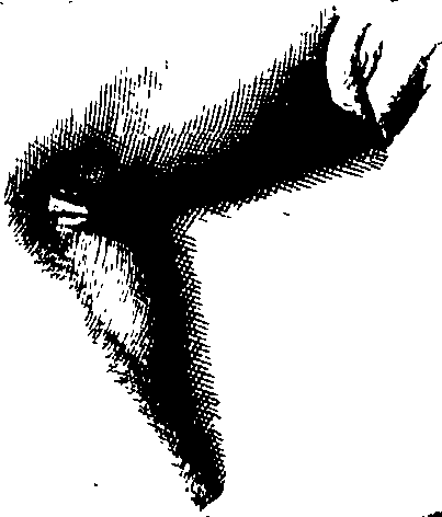 104/104620030001510_0.png