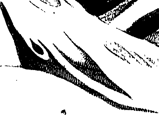 104/104620030001560_0.png