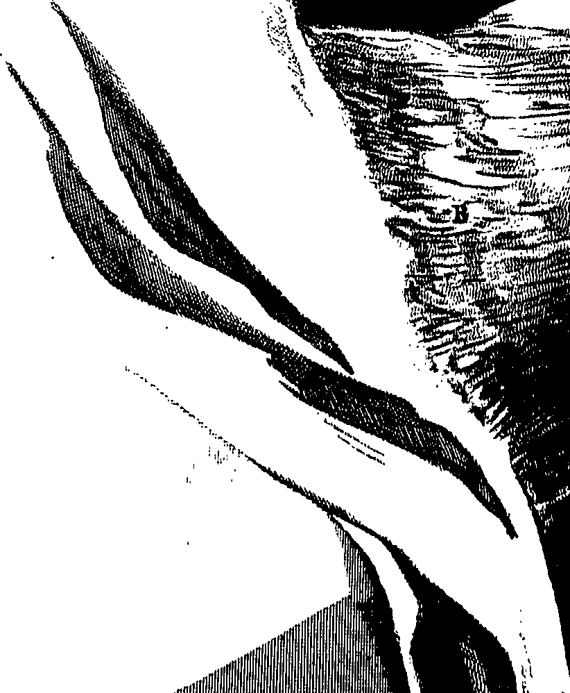 104/104620030001680_0.png