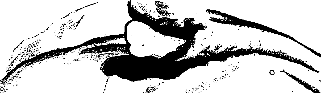 104/104620030001680_1.png