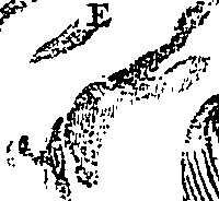 104/104620030001710_0.png