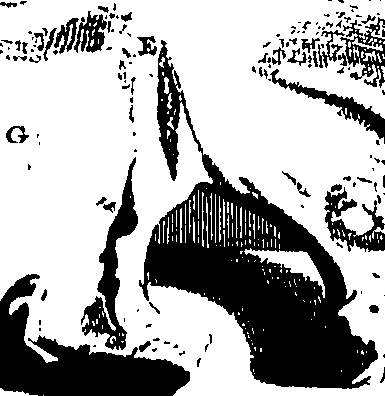 104/104620030002060_0.png
