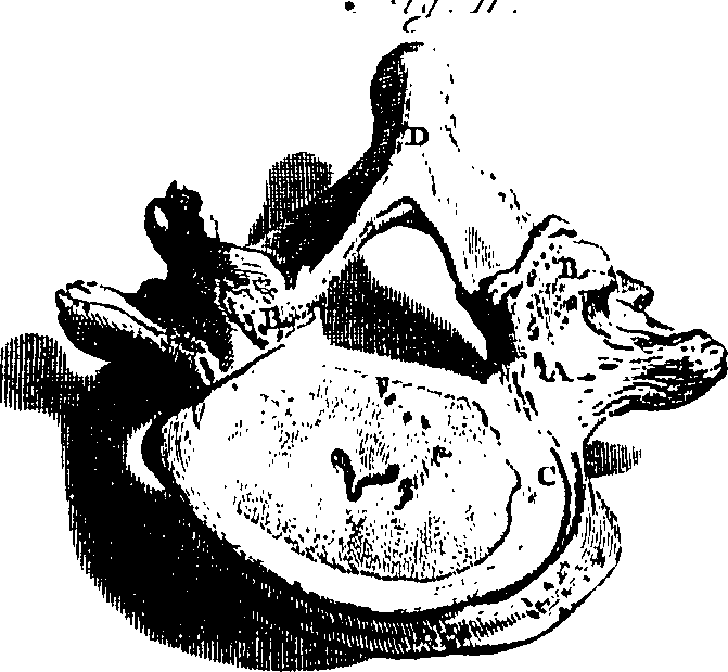 104/104620030002130_2.png