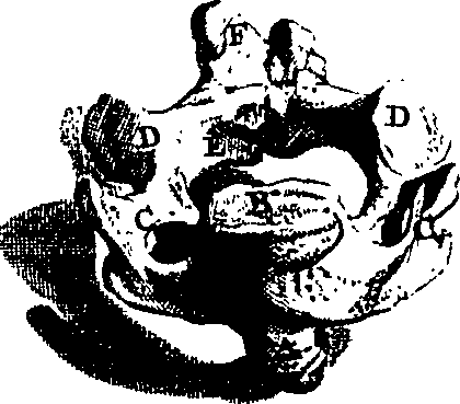 104/104620030002130_3.png