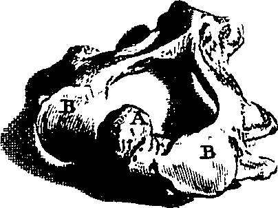 104/104620030002130_4.png