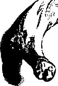 104/104620030002140_2.png