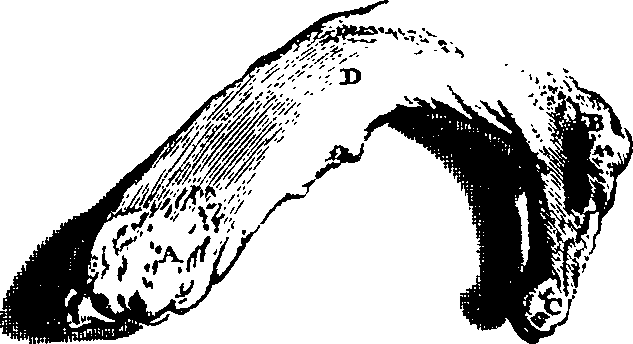 104/104620030002140_3.png