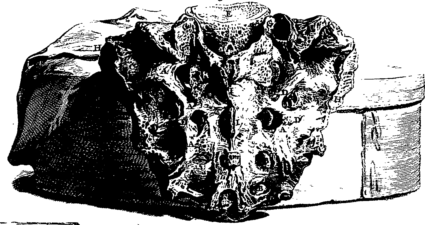 104/104620030002220_1.png
