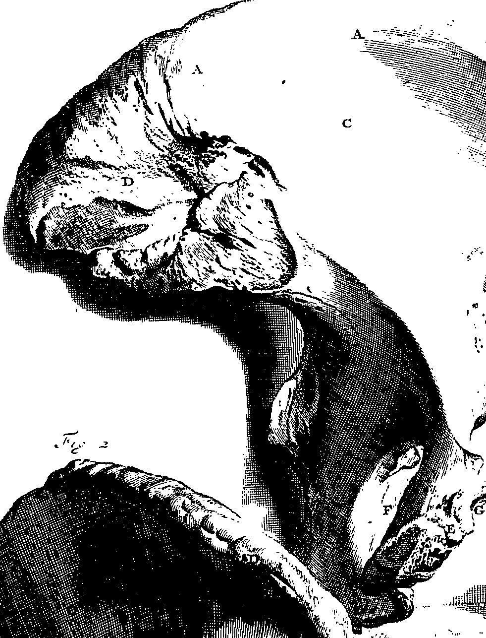 104/104620030002250_0.png
