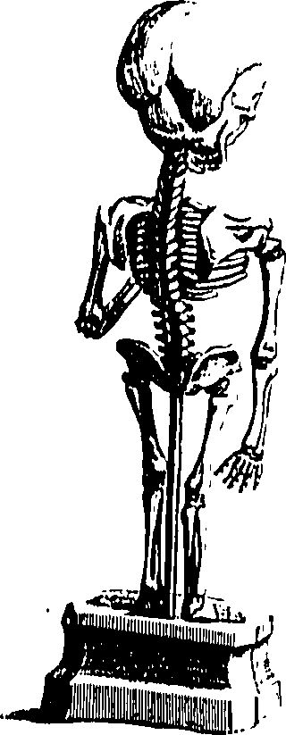 104/104620030002260_0.png