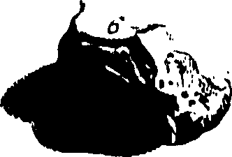 104/104620030002370_0.png