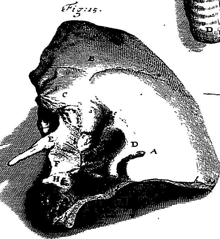 104/104620030002480_1.png