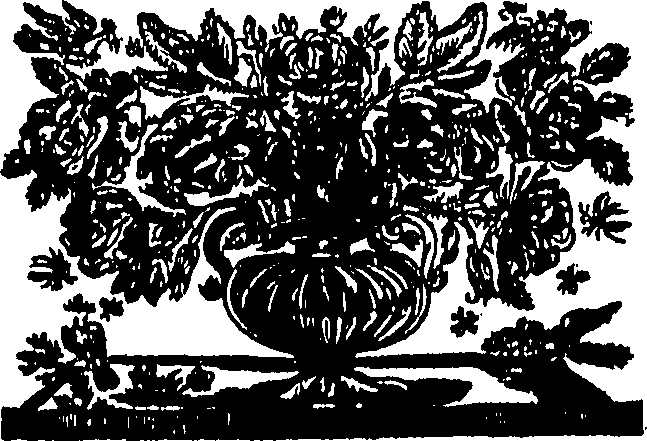 104/104620030002540_0.png