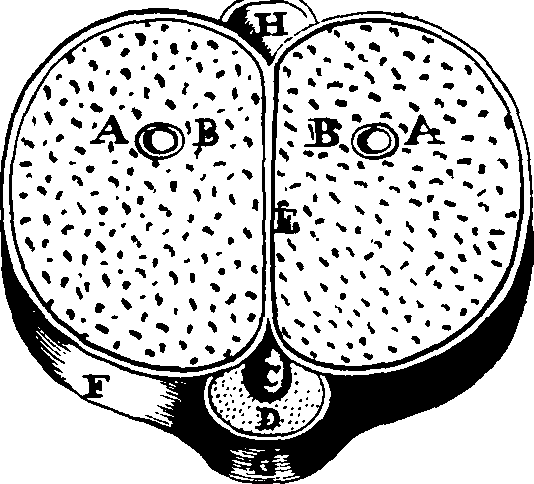 104/104640040000460_1.png