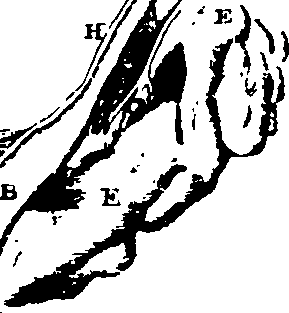 104/104640040000530_0.png