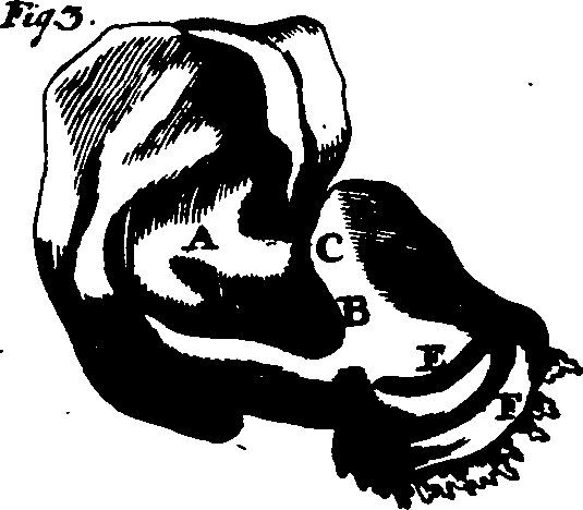 104/104640040002630_0.png