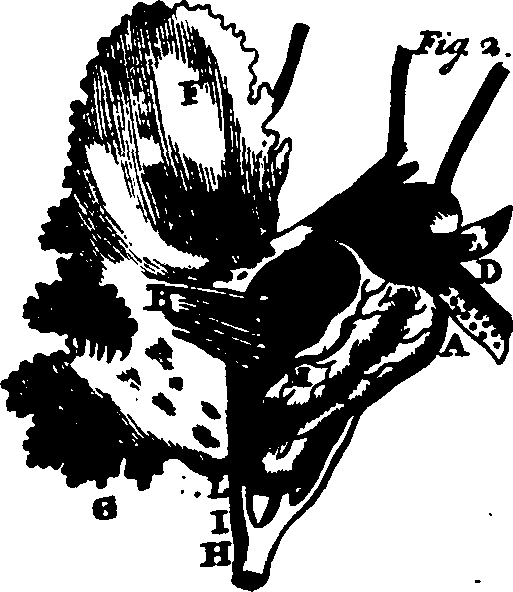104/104640040002630_2.png