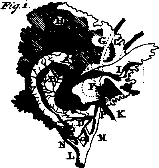 104/104640040002630_4.png