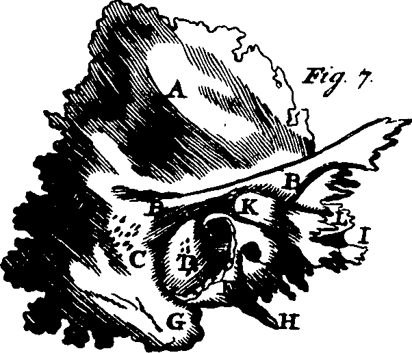 104/104640040002710_0.png