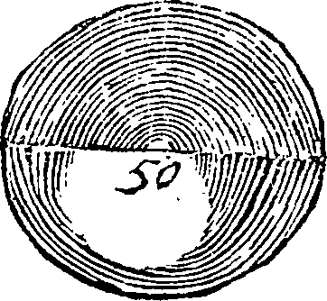 104/104650010003700_0.png