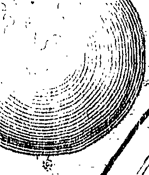 104/104810020000040_2.png