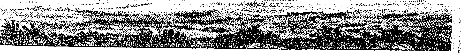104/104860100002860_0.png