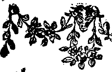 104/104870150000020_0.png