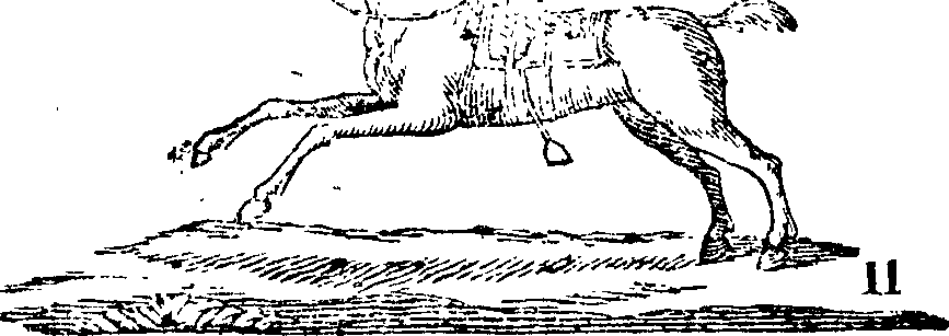 104/104870250000010_0.png