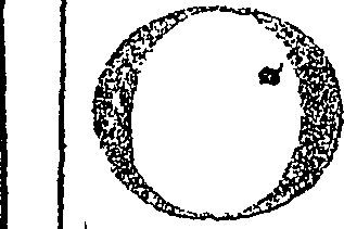 104/104920010200010_0.png