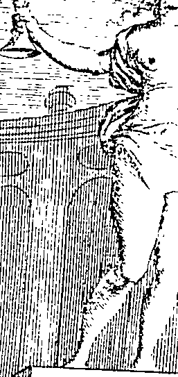 104/104960010000010_0.png