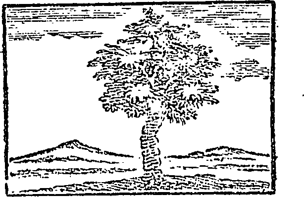 104/104960080000060_0.png