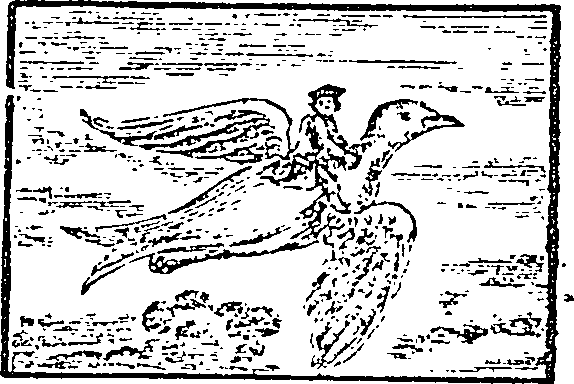 104/104960080000120_0.png