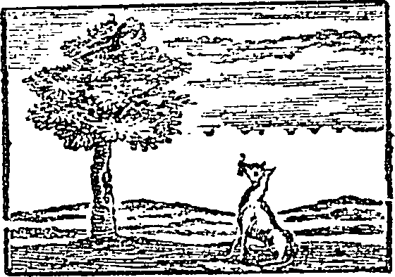 104/104960080000260_0.png