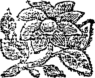 105/105050080000230_0.png