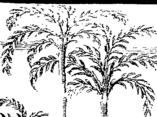 105/105100020102500_0.png