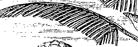 105/105100020102510_0.png