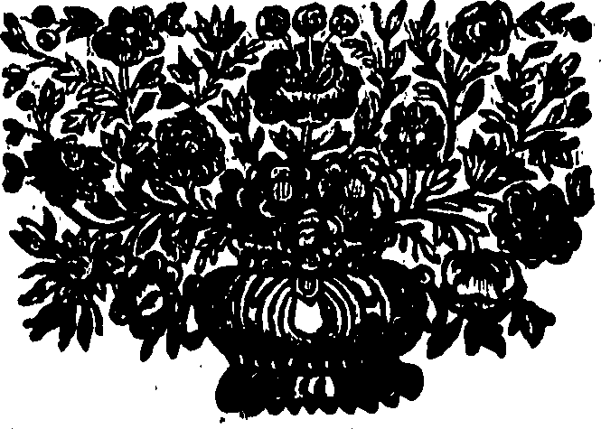 105/105120010308770_0.png