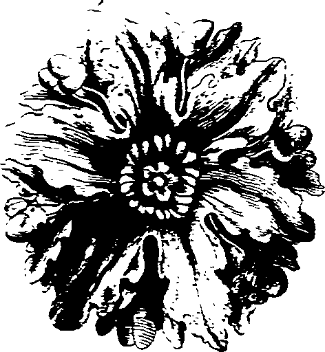 105/105140030000660_1.png