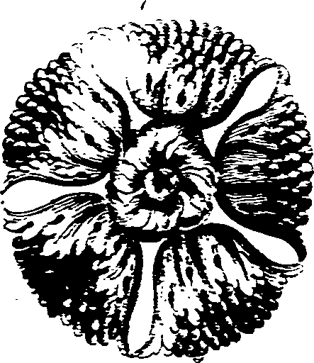 105/105140030000660_2.png