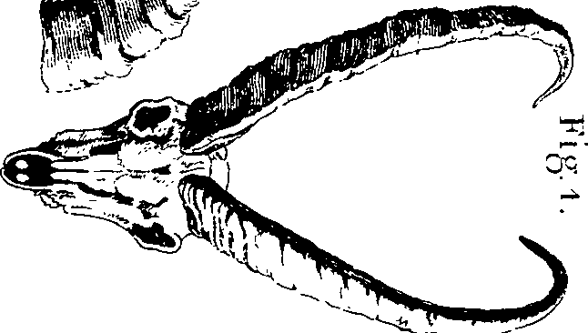 105/105140080000940_0.png