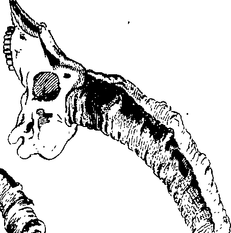 105/105140080000940_1.png