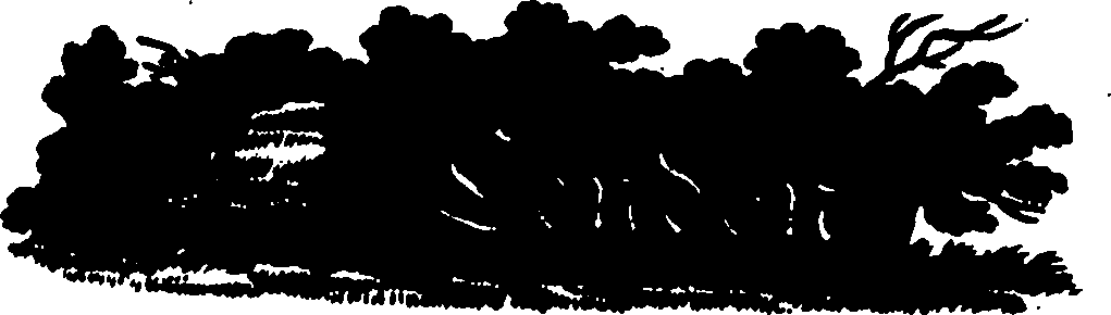 105/105210030000010_0.png